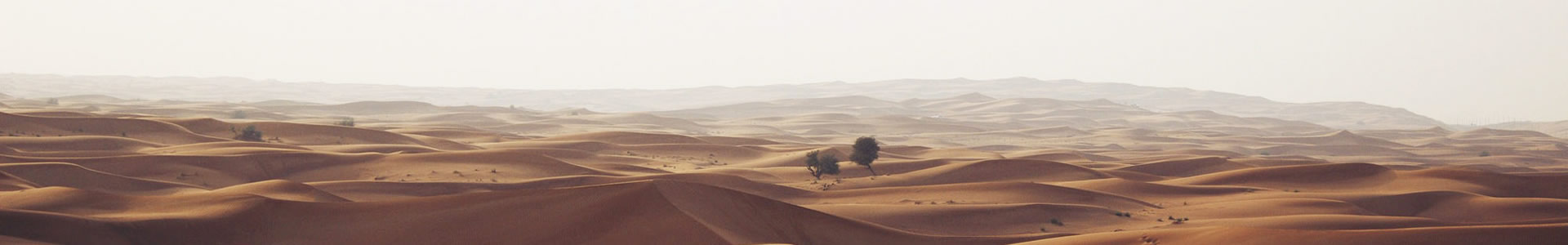 ޷Ƽ޹˾
